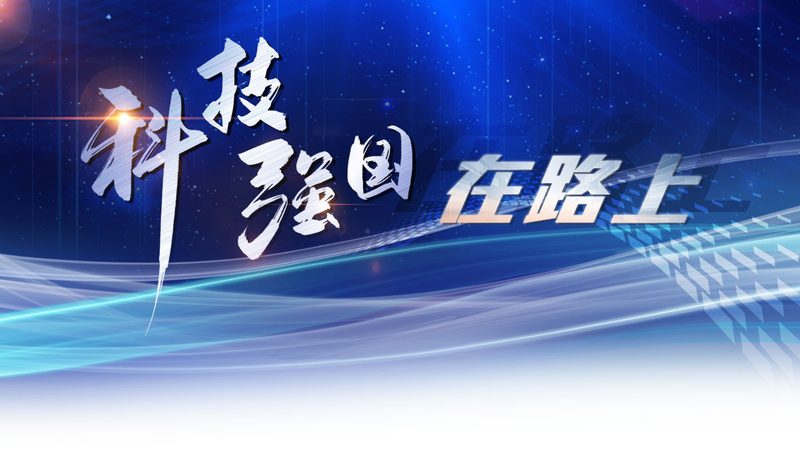 云原生服务网格选型：别让技术焦虑绑架你的架构决策