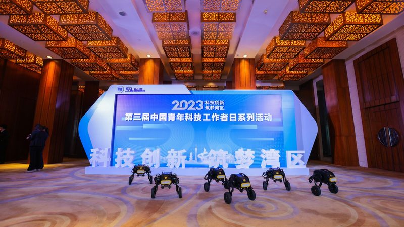数字化解决方案：常见问题解析与应对策略
